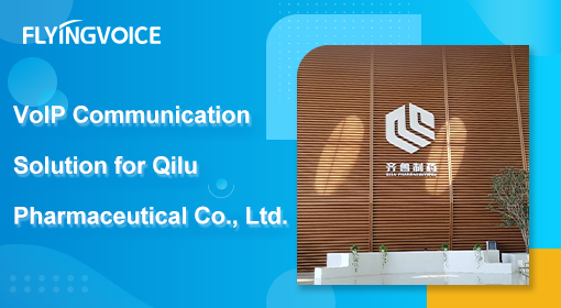 Large Pharmaceutical  Company - Qilu Pharmaceutical Co., Ltd.